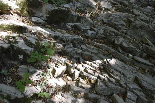 Monte San Giorgio