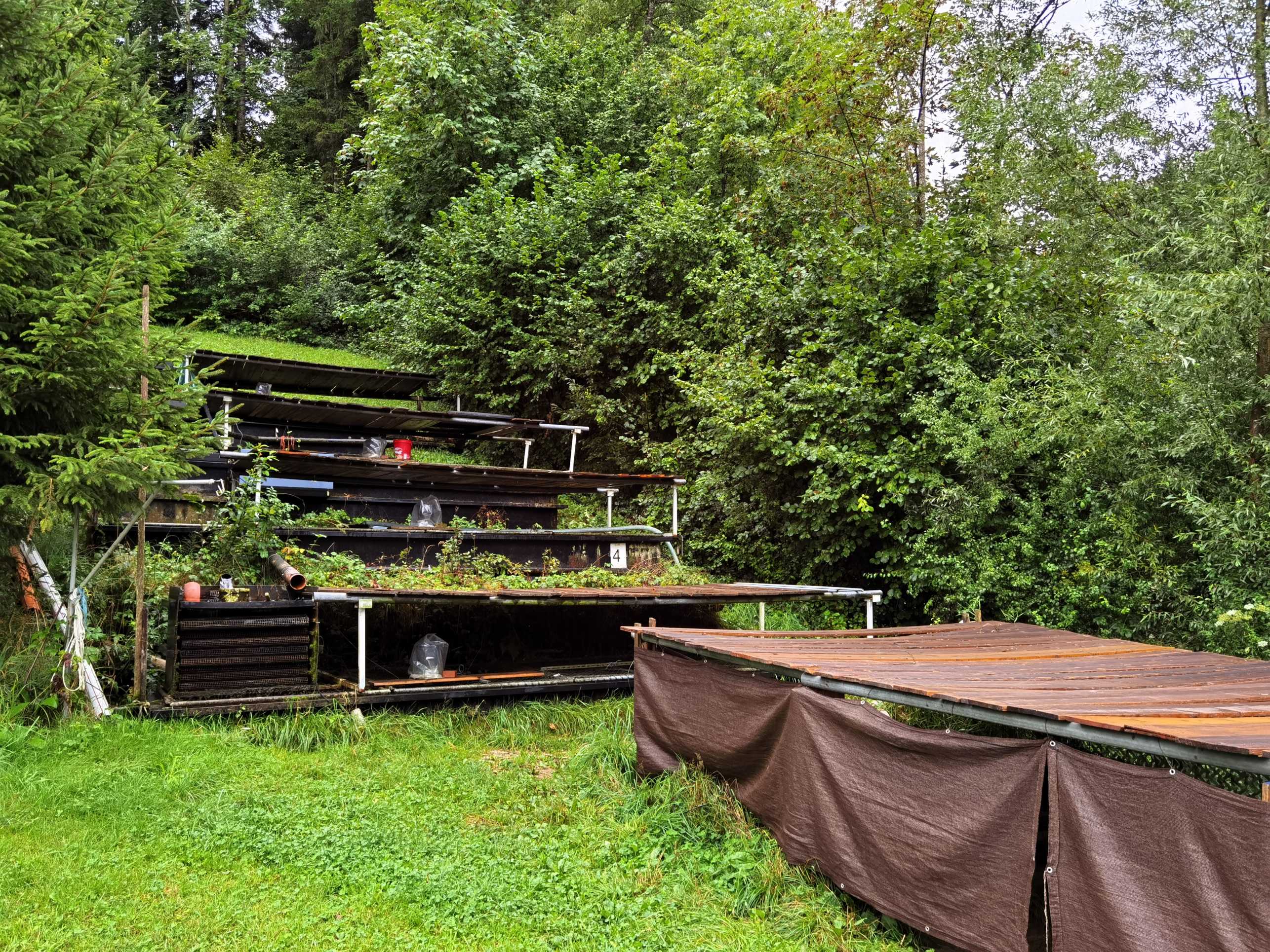 Fischzucht Gonzenbächli